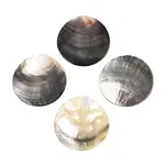 Natural Black Lip Shell Big Pendants