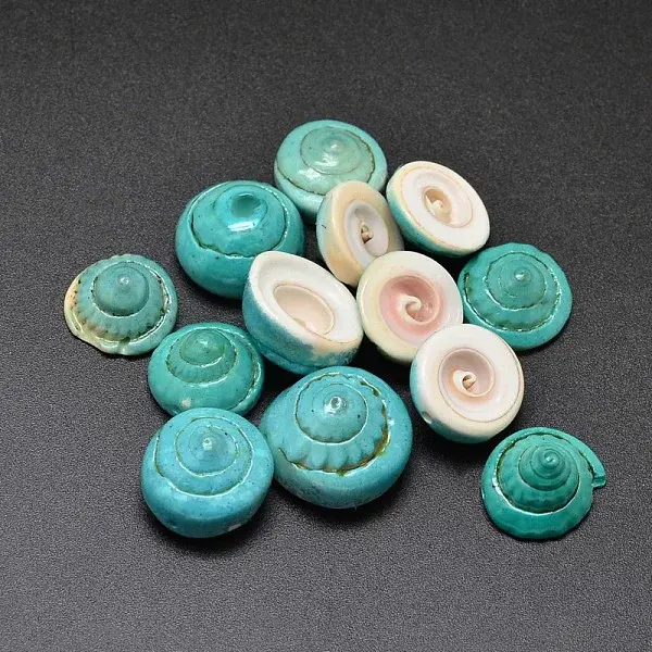 Dyed Natural Shiva Eye Shell Beads