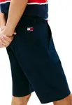 Tommy Hilfiger pánske bermudy