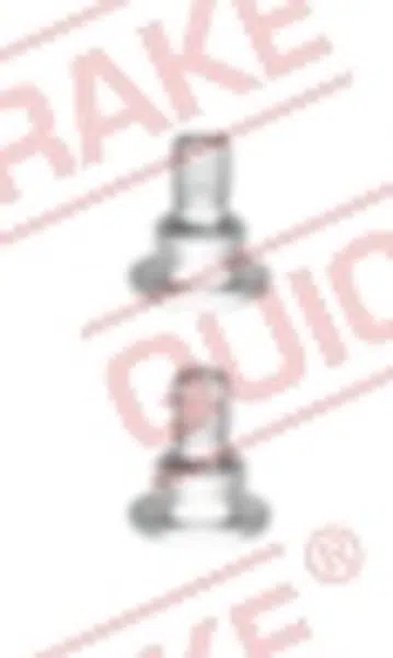 QUICK BRAKE Šroub M6x1, délka 15 mm, na brzdové kotouče
