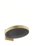 Hansgrohe Rainfinity hlavová sprcha na stenu kartáčovaný bronz 26230140
