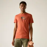 Pánské tričko regatta breezed hnědá 3xl