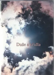 Duše a křídla (poškozená) - Miroslav Zámečník