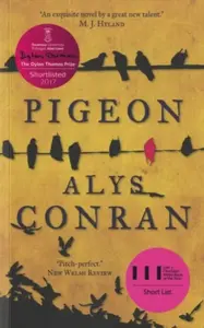 Pigeon - Alys Conran