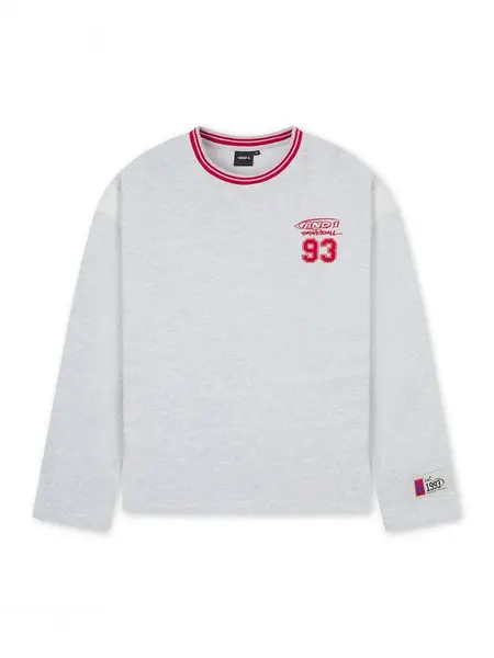 AND1 Mikina 'Core 93'  svetlosivá