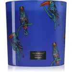 Vila Hermanos Jungletopia Rain Forest vonná svíčka 1450 g