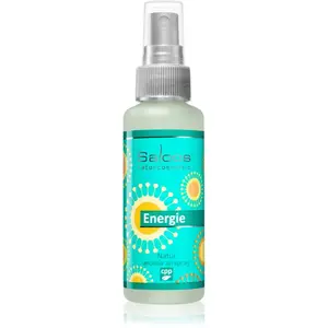 Saloos Air Fresheners Energy bytový sprej 50 ml