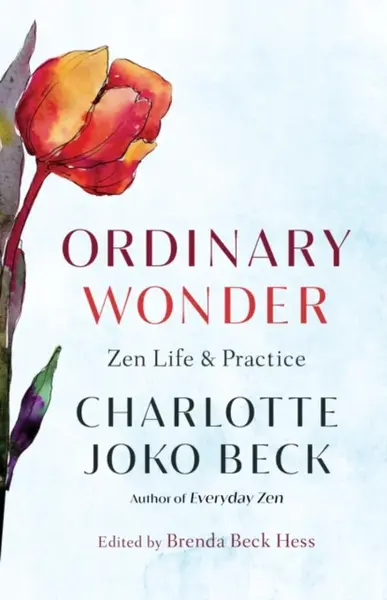 Ordinary Wonder - Charlotte Joko Becková, Brenda Beck Hess