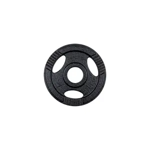 Litinový olympijský kotouč inSPORTline Hamerton Black 2,5 kg 50 mm