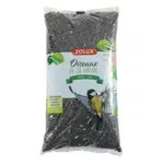 ZOLUX Slunečnice krmivo pro venkovní ptáky 1,5 kg