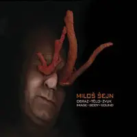 Miloš Šejn – Obraz – tělo- zvuk CD+DVD