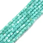 Natural Freshwater Shell Beads Strands