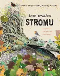 Život spadlého stromu