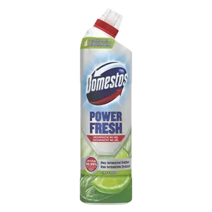 DOMESTOS Power Fresh Lime 700 ml