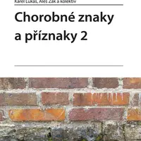 E-kniha: Chorobné znaky a příznaky 2 od Lukáš Karel