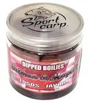 Sportcarp boilies v dipu dipped boilies 200 ml 20 mm - salmon maple