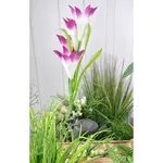 Solární svítidlo  BY-23427