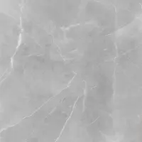 Dlažba Ambrosio Gris 59,7/59,7