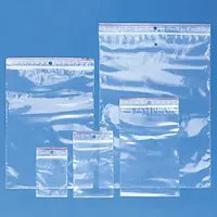 1000 x Sáčky se zipem, SADA 1000ks, různé velikosti, tloušťka 60µm | RAJA