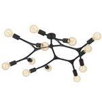 Stropné osvetlenie Eglo BOCADELLA 1 čierna 98319