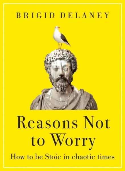 Reasons Not to Worry - Brigid Delaney