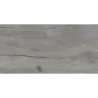 Dlažba Porto grey 30/60