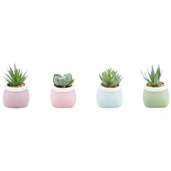 Sukulentní 7-10cm mix 93061