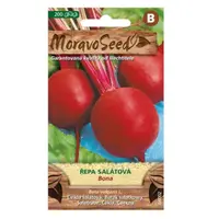 Repa šalátová Bona, guľatá