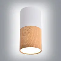 Stropné svietidlo Tuba 1x25W GU10 5,8 cm