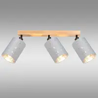 Stropné bodové svietidlo DAFNE AS-DAE143BR LS3