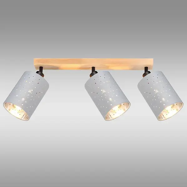 Stropné bodové svietidlo DAFNE AS-DAE143BR LS3