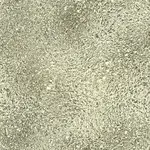 Skleněný panel 60/60 Golden Esg