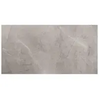 Dlažba Remos Grey 59,8/119,8