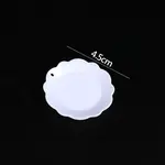 Plastic Plate Model Ornaments