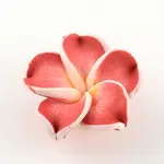 Handmade Polymer Clay 3D Flower Plumeria Beads