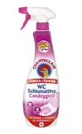 Chante Clair Aktívna pena bieliaca na WC 625ml