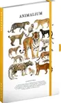 Animalium – Kočkovité šelmy, linkovaný, 13 x 21 cm