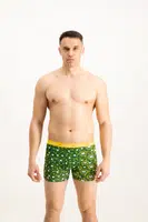 Pánské boxerky Frogies Zodiac Blíženci