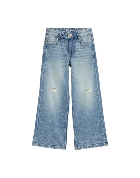 WE Fashion Džínsy  modrá denim