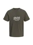 JACK & JONES Tričko 'JCOECHO'  jedľová / biela / šedobiela