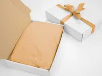 240 ks - Hodvábny papier 500x750 svetlo oranžový