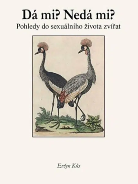 Dá mi? Nedá mi? - Evžen Kůs