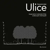 Ulice - Dominik Aleš