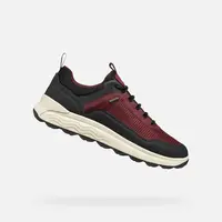 Burgundy men's sneakers Geox Spherica 4X4 ABX - Men's