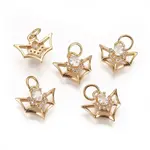 Brass Micro Pave Cubic Zirconia Charms