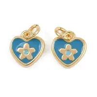 Brass Enamel Charms