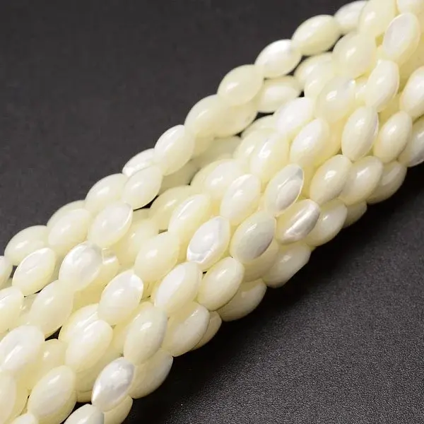 Natural Trochid Shell/Trochus Shell Beads Strands