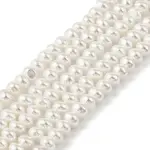 Electroplated Shell Pearl Beads Strands