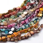 Irregular Natural Sea Shell Beads Strands