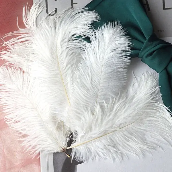 Bleached Ostrich Feather Ornament Accessories